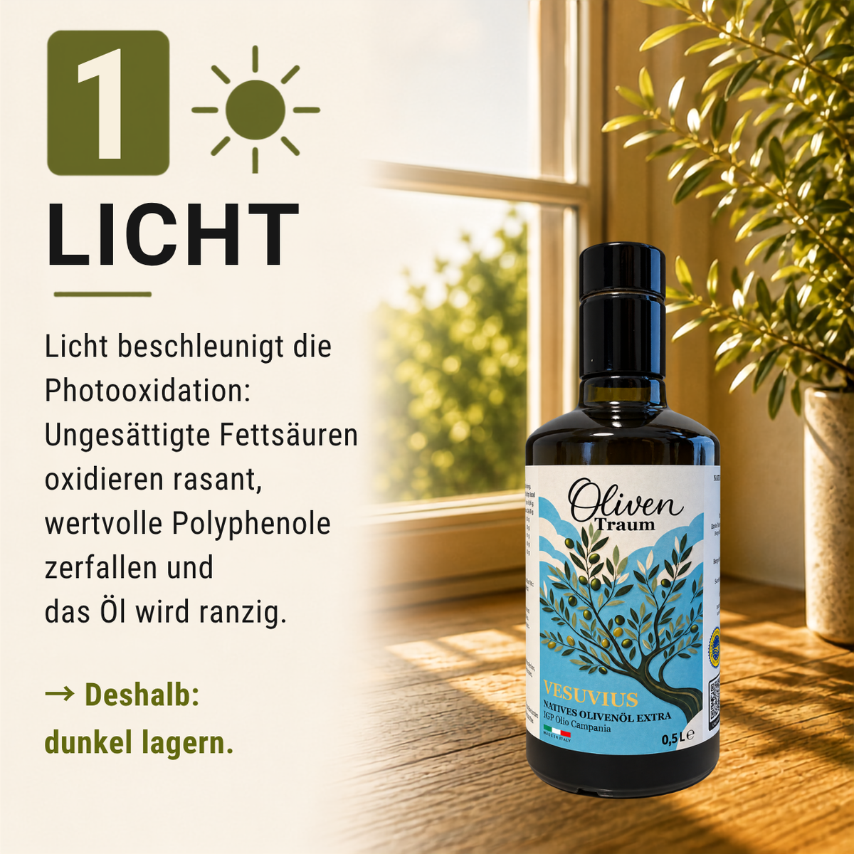Olivenöl richtig lagern und verwenden