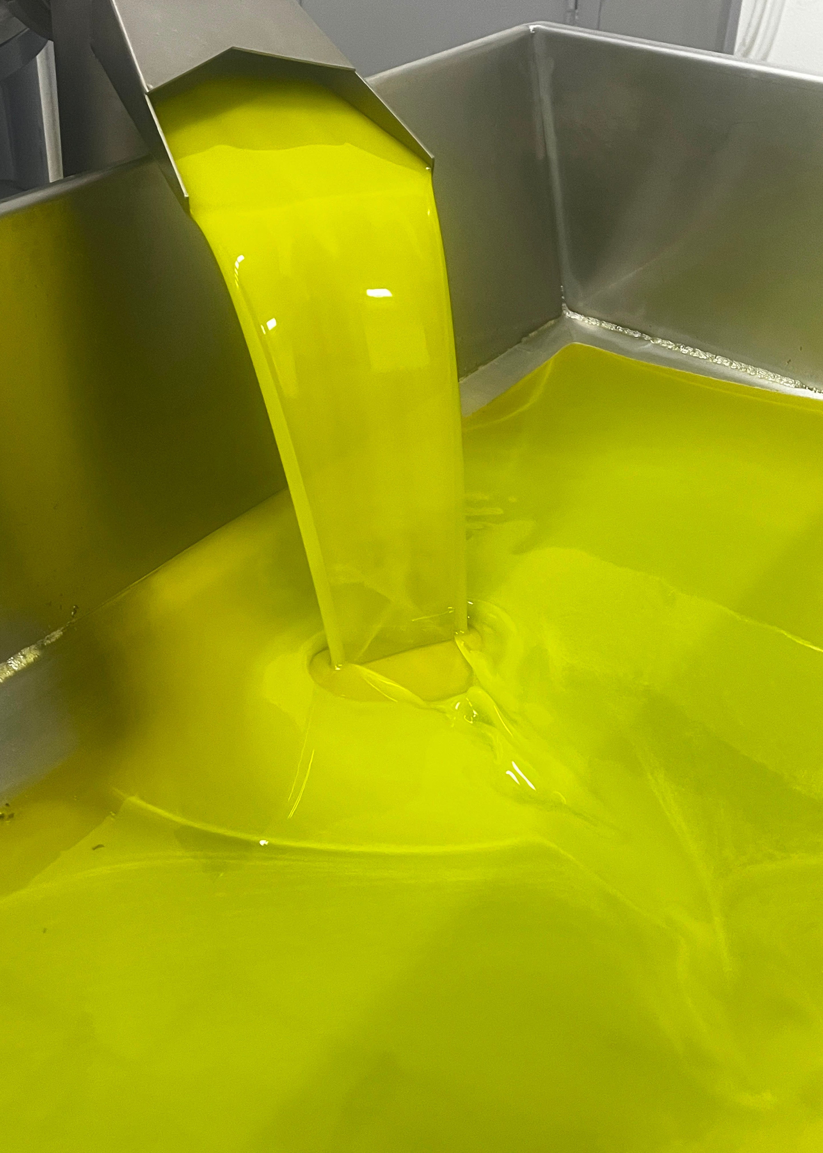 Goldgelbes Olivenöl von Oliventraum