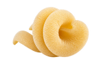 Orecchia Napoletana von Oliventraum