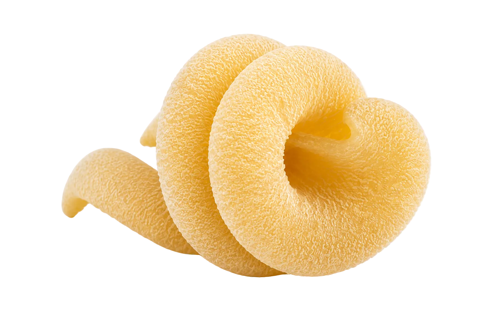 Orecchia Napoletana von Oliventraum
